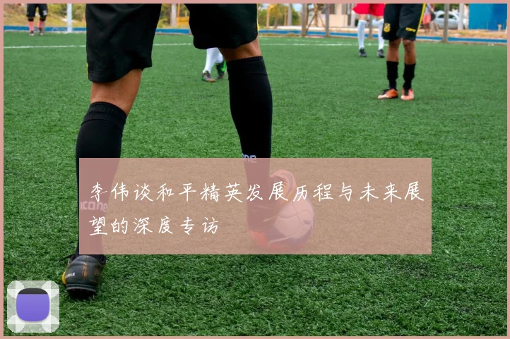 李伟谈和平精英发展历程与未来展望的深度专访