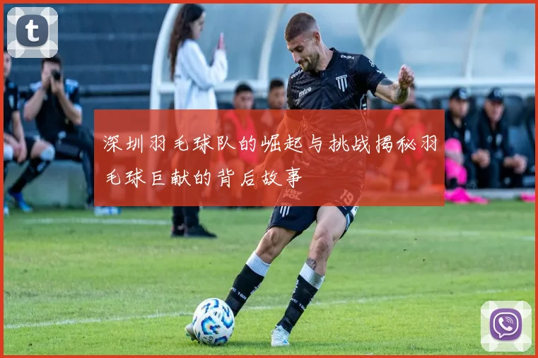 深圳羽毛球队的崛起与挑战揭秘羽毛球巨献的背后故事